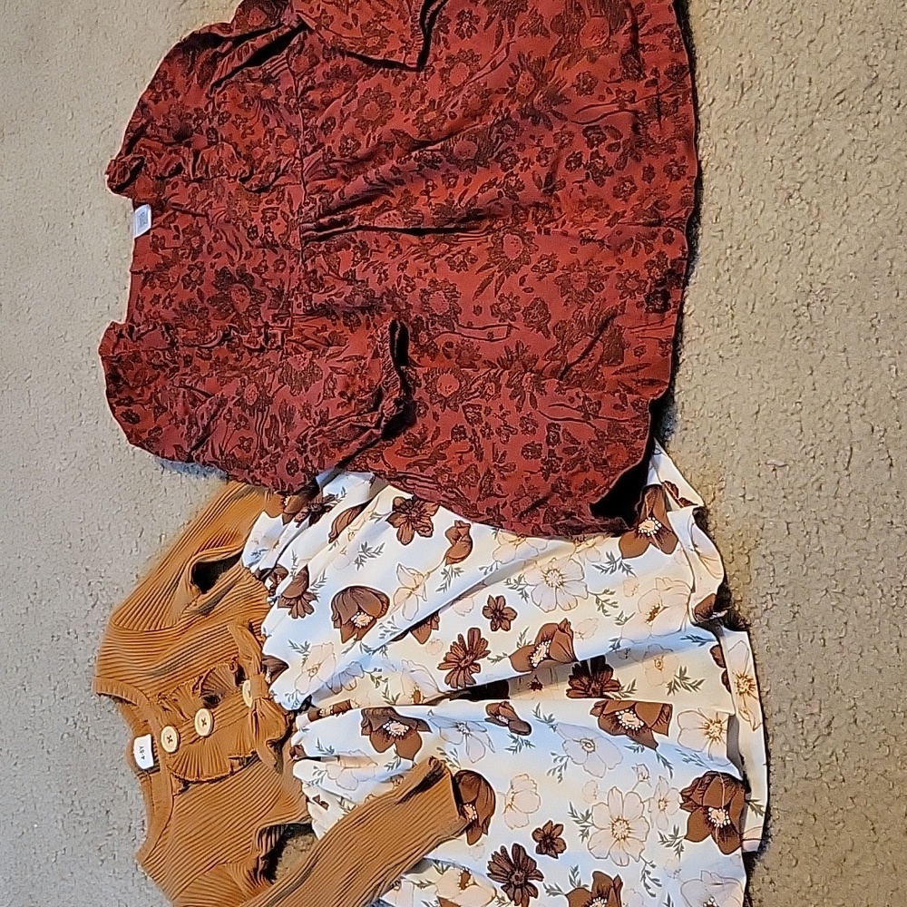 Two Girls Dresses size 4-5 and 4T